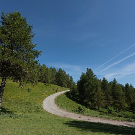 Les Hauts Des Auches Ancelle Dış mekan fotoğraf