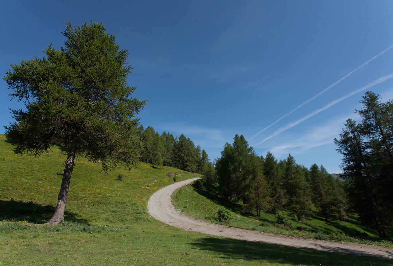 Les Hauts Des Auches Ancelle Dış mekan fotoğraf